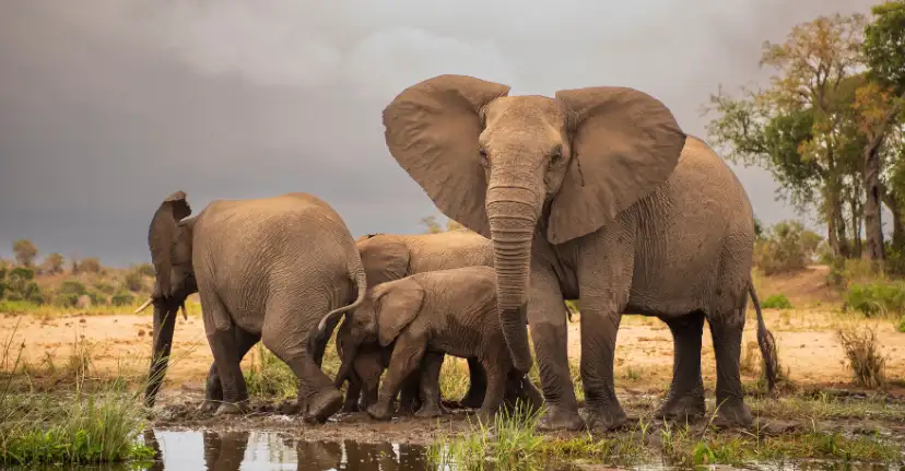 Kruger National Park and Mpumalanga