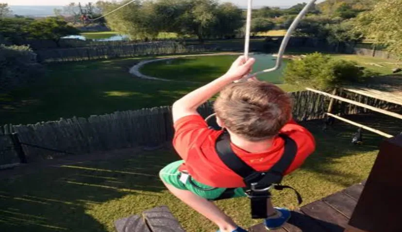 Crocodile Reptile Park 2