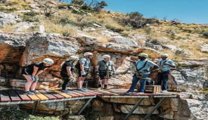 Magalisberg Canopy 2