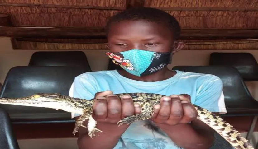 Crocodile Reptile Park 3