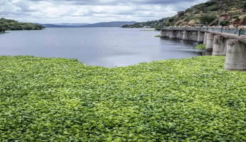 Hartbeespoort Dam and Cableway 5