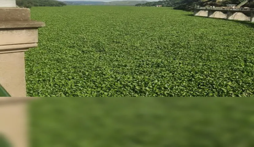 Hartbeespoort Dam and Cableway 7