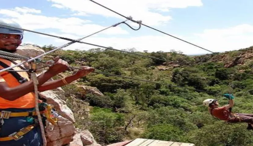 Magalisberg Canopy 3