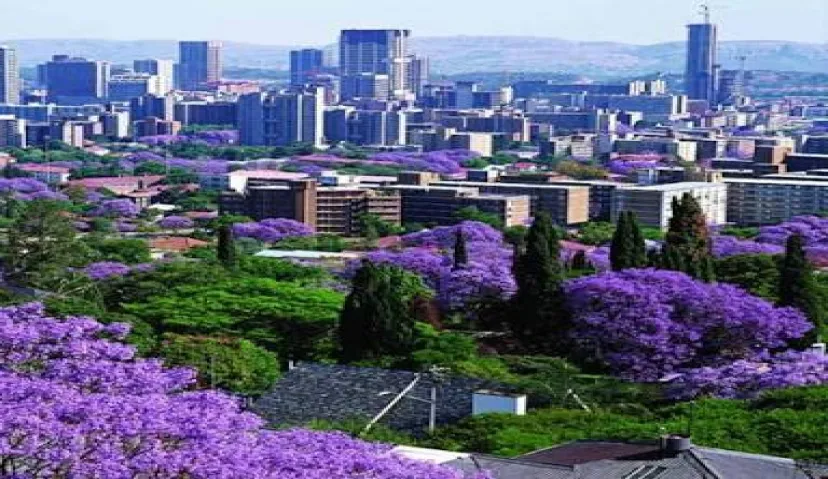 Culinan Diamond and Pretoria City 5