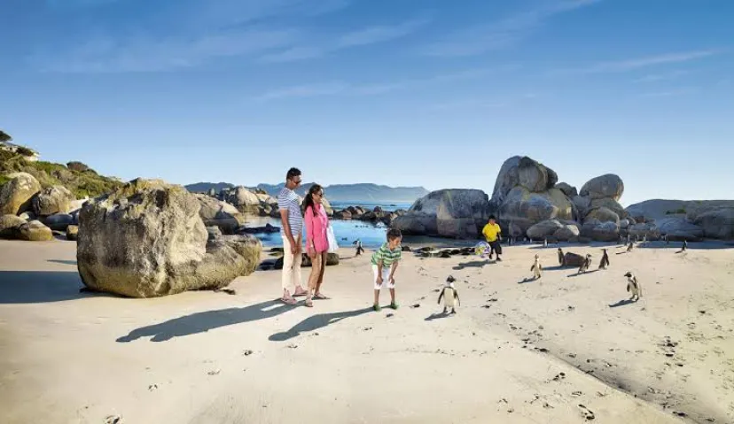 Boulders Beach 1