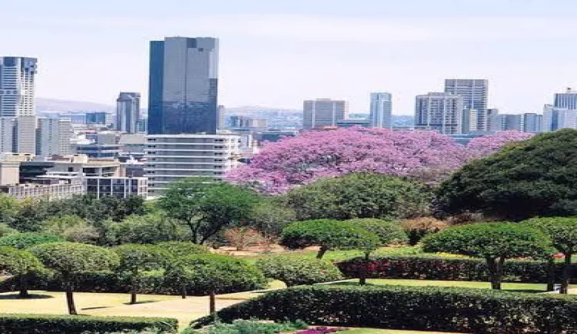 Culinan Diamond and Pretoria City 6